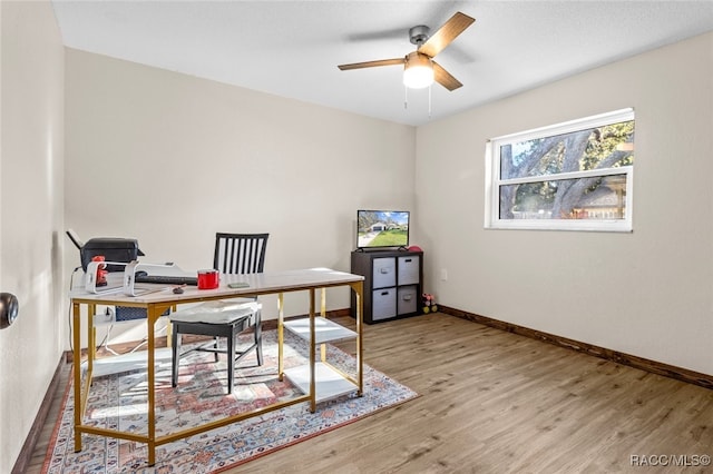 home office featuring ceiling fan and light hardwood / wood-style floors