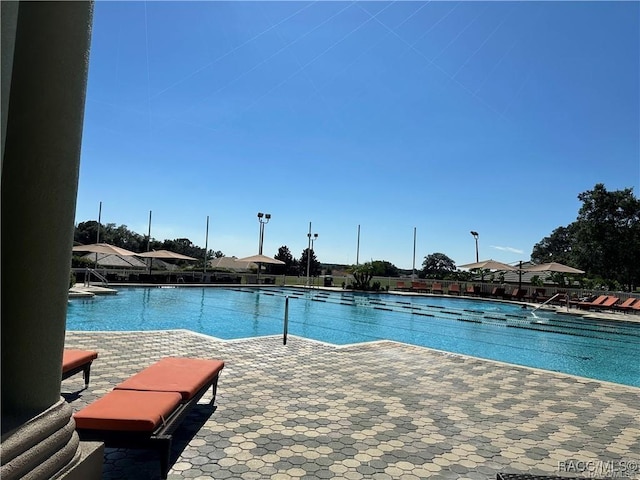 view of swimming pool with a patio area