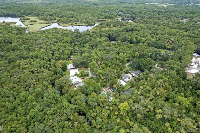8896 W White Dogwood Dr, Homosassa, FL 34448 - photo 33