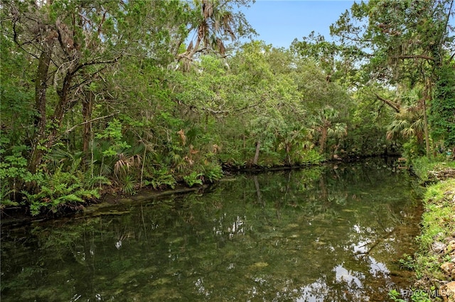 8896 W White Dogwood Dr, Homosassa, FL 34448 - photo 2