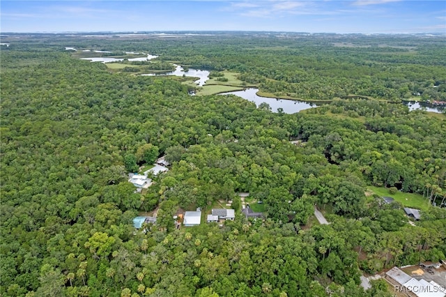 8896 W White Dogwood Dr, Homosassa, FL 34448 - photo 38