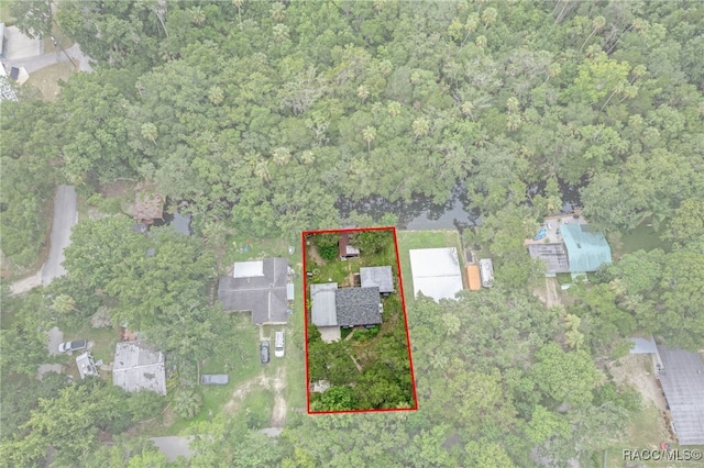 8896 W White Dogwood Dr, Homosassa, FL 34448 - photo 36