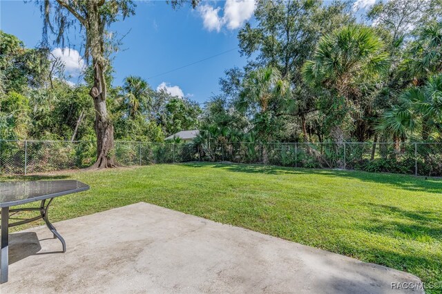 view of yard featuring a patio area