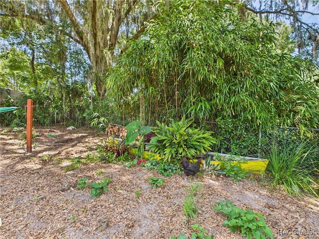 896 N Hollywood Cir, Crystal River, FL 34429 - view of yard