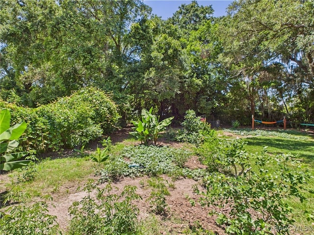 896 N Hollywood Cir, Crystal River, FL 34429 - view of yard