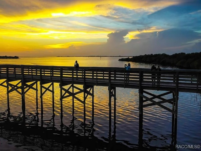 896 N Hollywood Cir, Crystal River, FL 34429 - water view featuring a pier