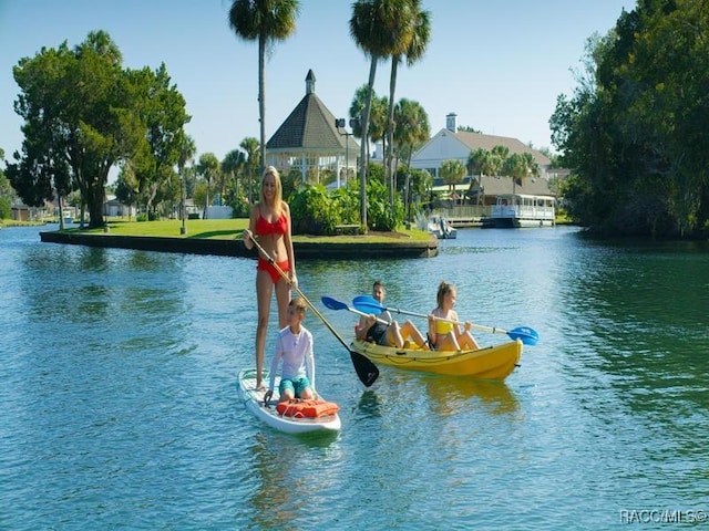 896 N Hollywood Cir, Crystal River, FL 34429 - dock with a water view
