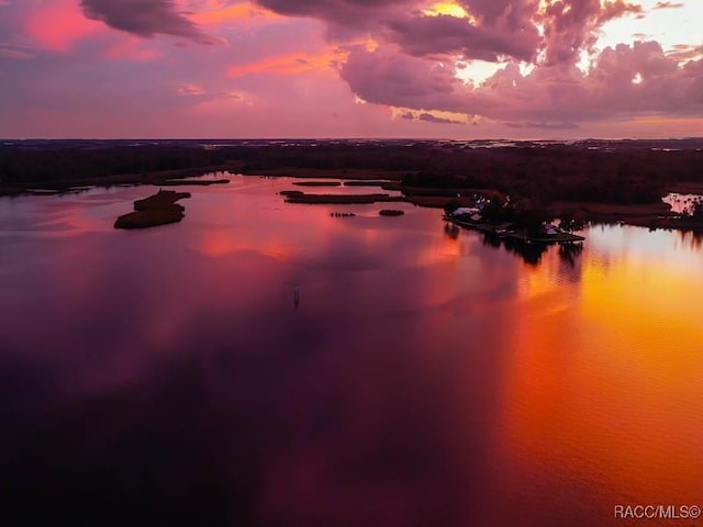 896 N Hollywood Cir, Crystal River, FL 34429 - water view