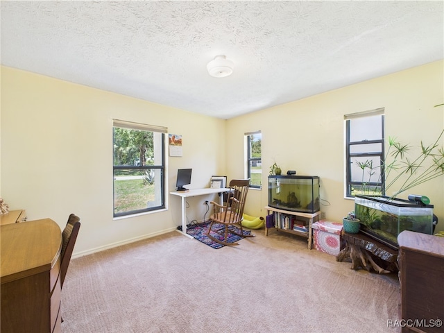896 N Hollywood Cir, Crystal River, FL 34429 - home office featuring healthy amount of natural light, carpet floors, a textured ceiling, and baseboards