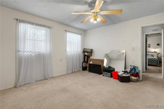 420 Stafford Ave, Brooksville, FL 34601 - photo 21