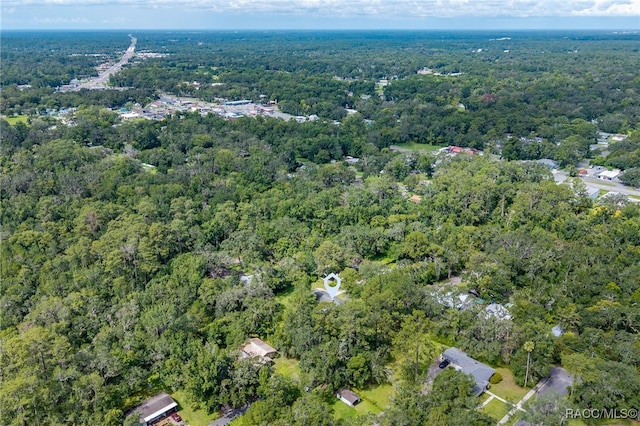 420 Stafford Ave, Brooksville, FL 34601 - photo 42