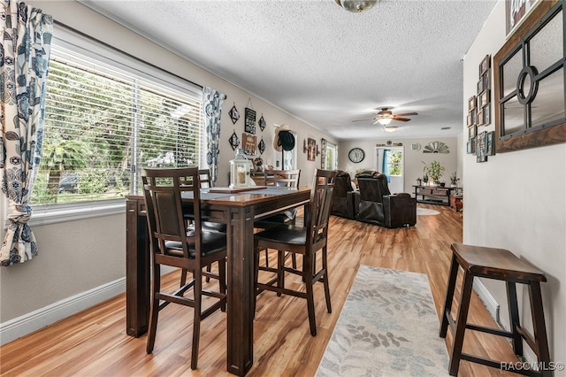 420 Stafford Ave, Brooksville, FL 34601 - photo 5