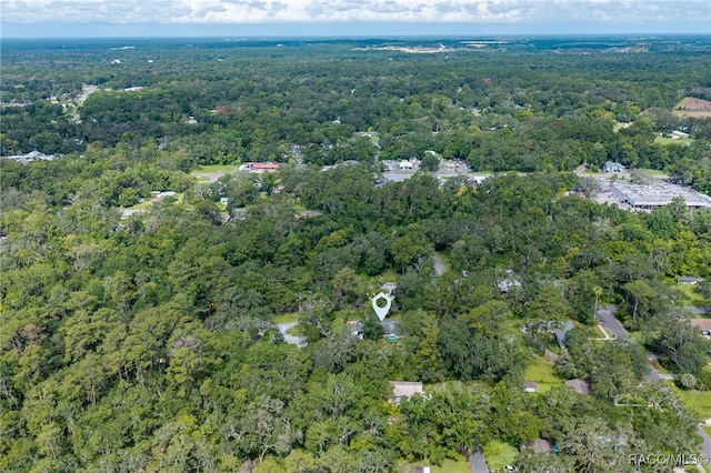 420 Stafford Ave, Brooksville, FL 34601 - photo 50