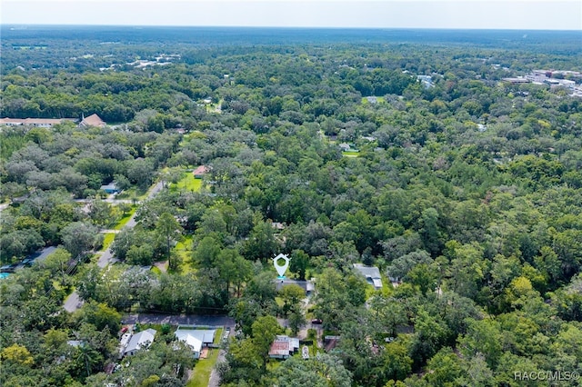 420 Stafford Ave, Brooksville, FL 34601 - photo 43