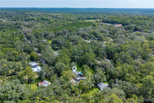 420 Stafford Ave, Brooksville, FL 34601 - photo 53