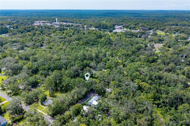 420 Stafford Ave, Brooksville, FL 34601 - photo 39