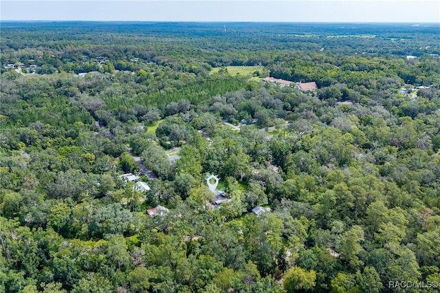 420 Stafford Ave, Brooksville, FL 34601 - photo 49