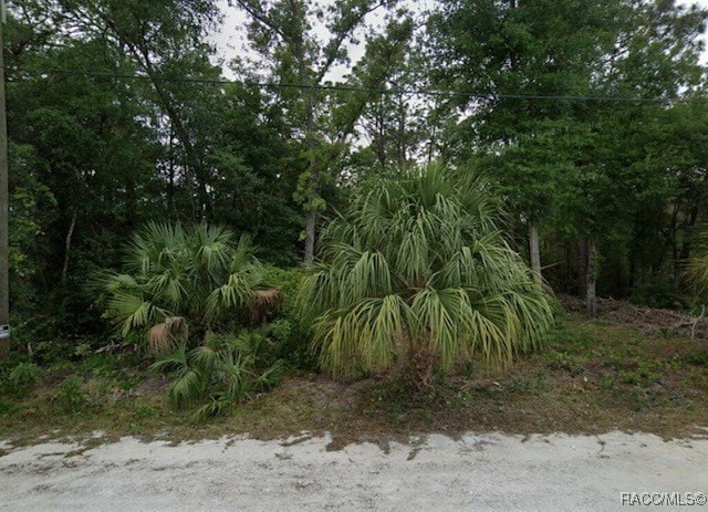 Listing photo 2 for 1466 S Highcliff Pt, Homosassa FL 34448