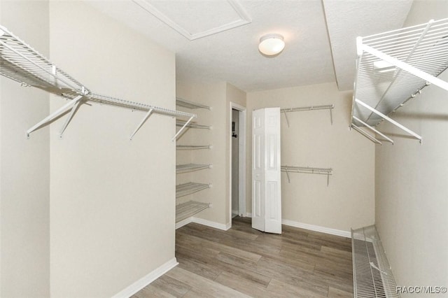 spacious closet featuring hardwood / wood-style flooring