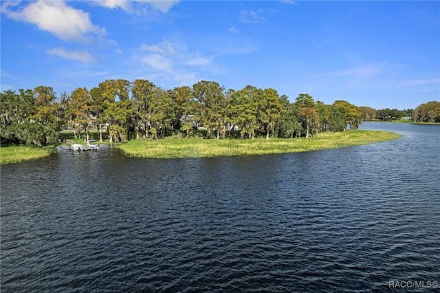 view of water feature