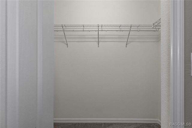 view of closet