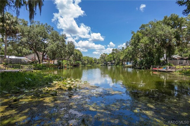 20165 SE 115th Ave, Inglis, FL 34449 - photo 48