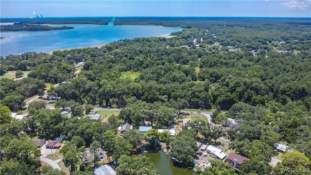 20165 SE 115th Ave, Inglis, FL 34449 - photo 60
