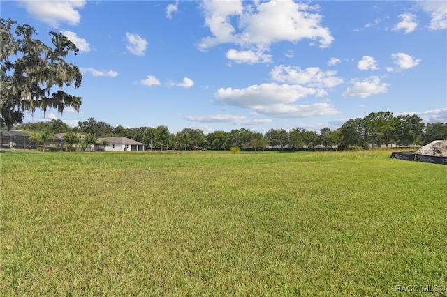 view of yard with a rural view