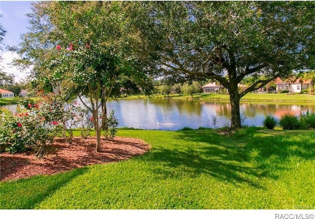 view of water feature