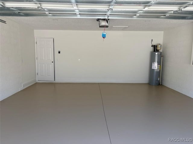 garage featuring a garage door opener and water heater