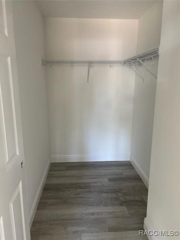 walk in closet with wood finished floors