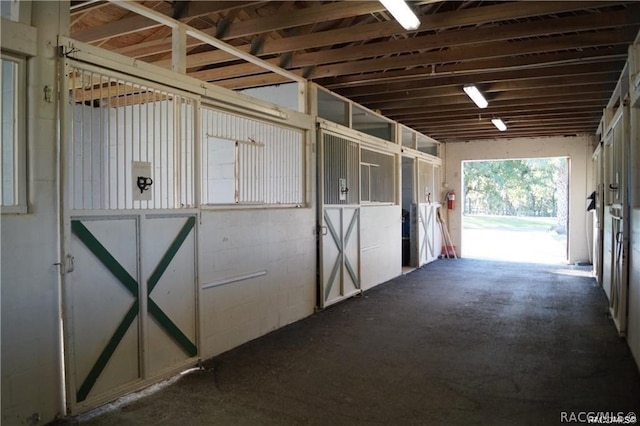 view of stable