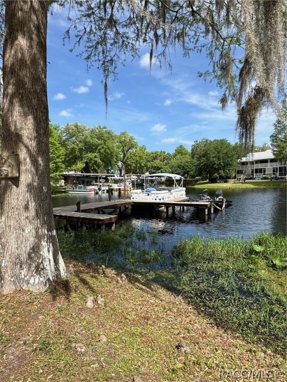 view of dock with a water view