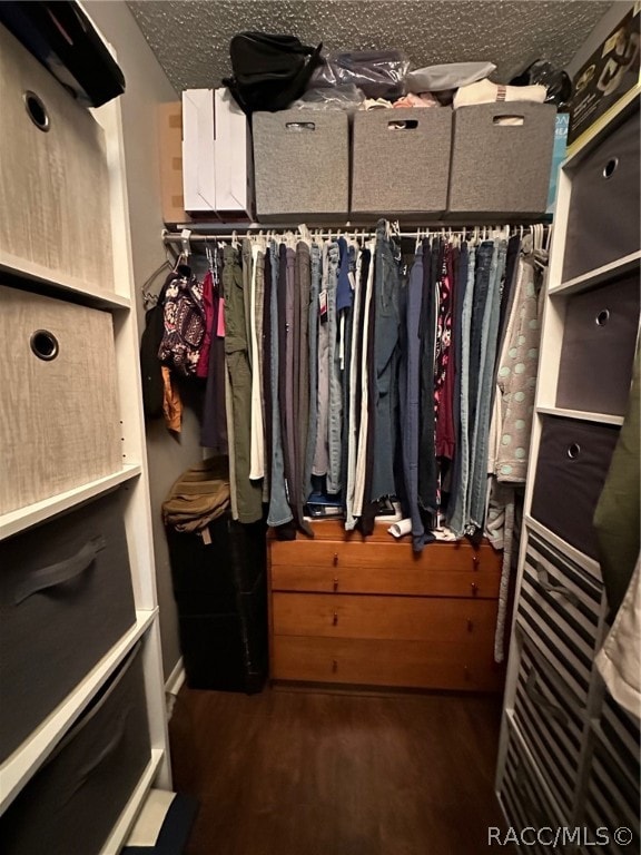 spacious closet featuring dark wood-type flooring