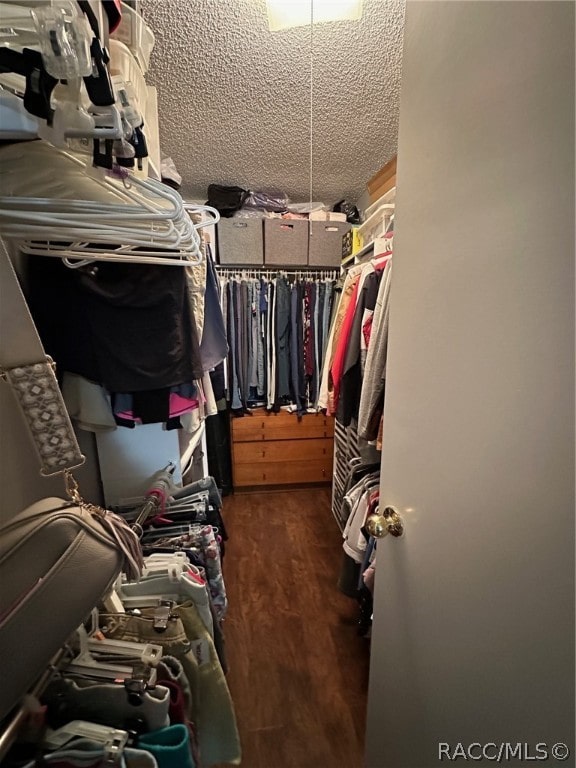 walk in closet featuring dark hardwood / wood-style flooring