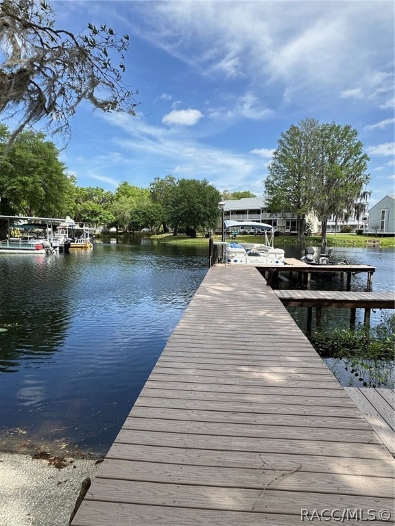 dock area featuring a water view