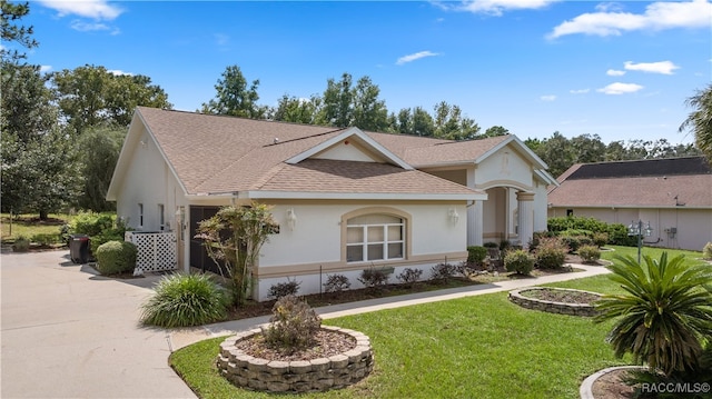 single story home featuring a front lawn