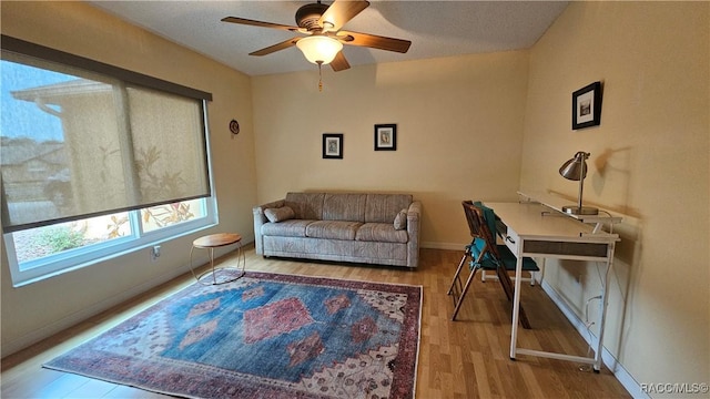 office space with ceiling fan and light hardwood / wood-style floors