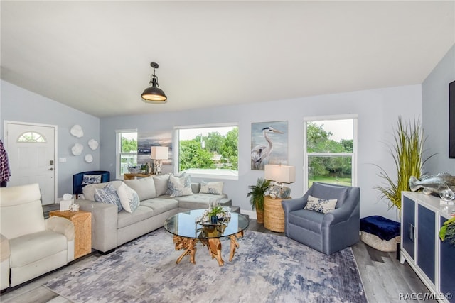 living room featuring wood-type flooring and vaulted ceiling