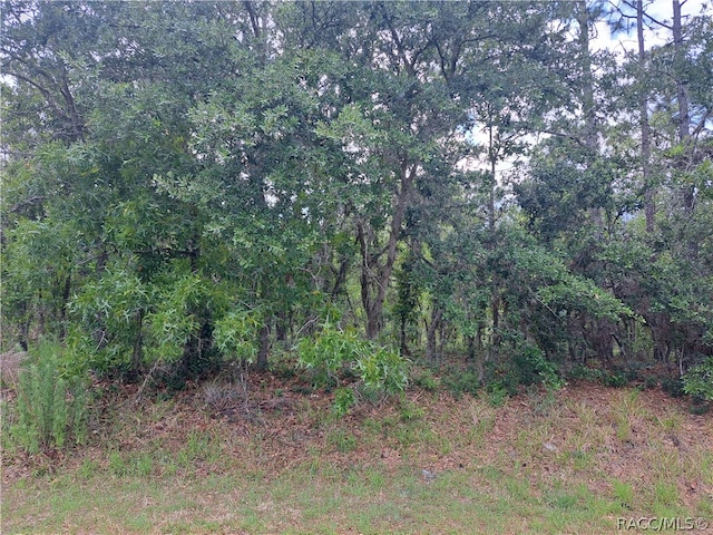 1725 E Littleton Ct, Inverness FL, 34453 land for sale