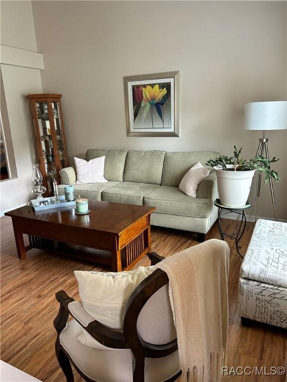 3495 W Wilburton Dr, Citrus Springs, FL 34433 - living area featuring wood finished floors and a towering ceiling