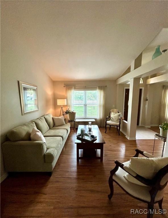 3495 W Wilburton Dr, Citrus Springs, FL 34433 - living area featuring vaulted ceiling and wood finished floors