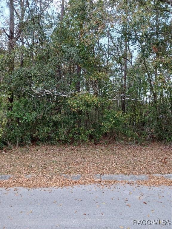 3354 S Oakdale Ter, Inverness FL, 34452 land for sale