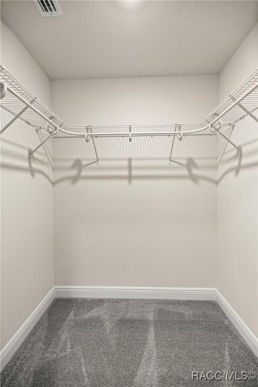 3153 N Chandler Dr, Hernando, FL 34442 - walk in closet with dark carpet