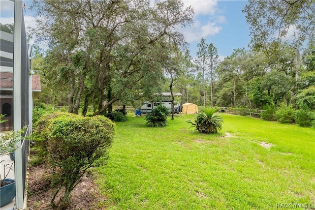 view of yard featuring a shed