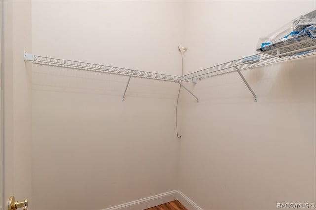 spacious closet featuring hardwood / wood-style flooring