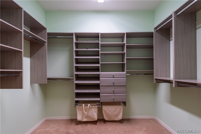 spacious closet with light carpet