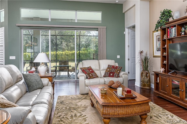 living room with a high ceiling and dark hardwood / wood-style floors