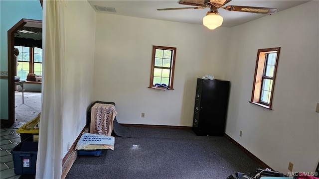 interior space featuring ceiling fan and a wealth of natural light