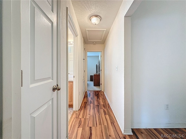 hallway featuring wood-type flooring and a textured ceiling